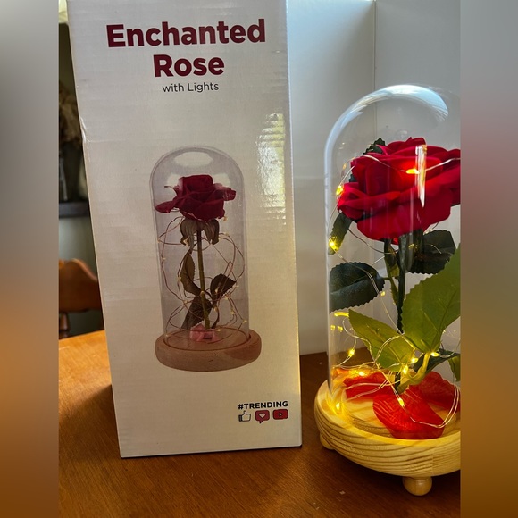 Enchanted Rose with lights in glass dome. - Picture 4 of 5
